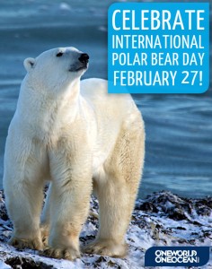 Graphic_Intl_Polar_Bear_Day