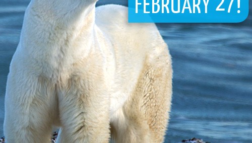 International Polar Bear Day - February 27